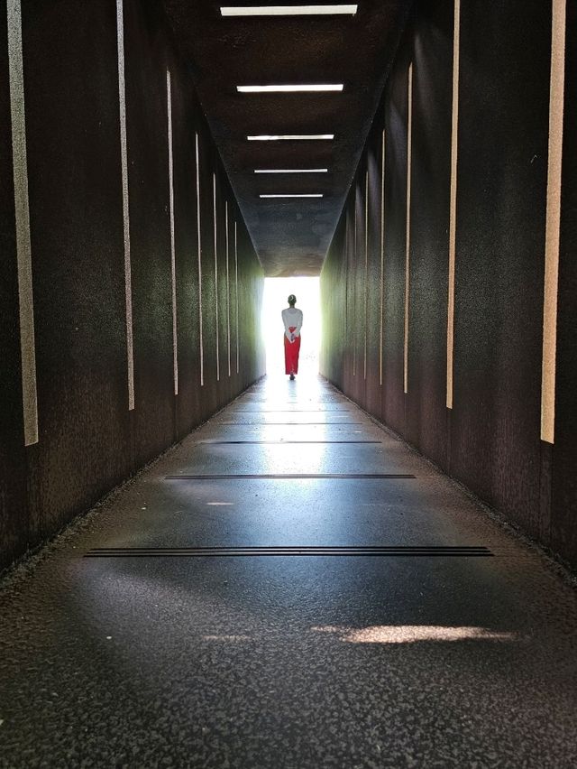 触れて、歩いて、感じる芸術旅🚶‍♀️🪵✨