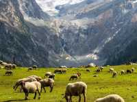 🌿 Hidden Gems of Kashmir – Beyond the Usual! ❄️🏔️