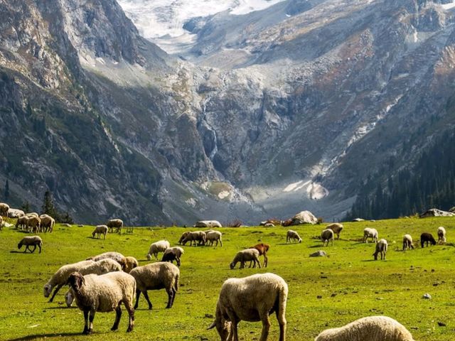 🌿 Hidden Gems of Kashmir – Beyond the Usual! ❄️🏔️