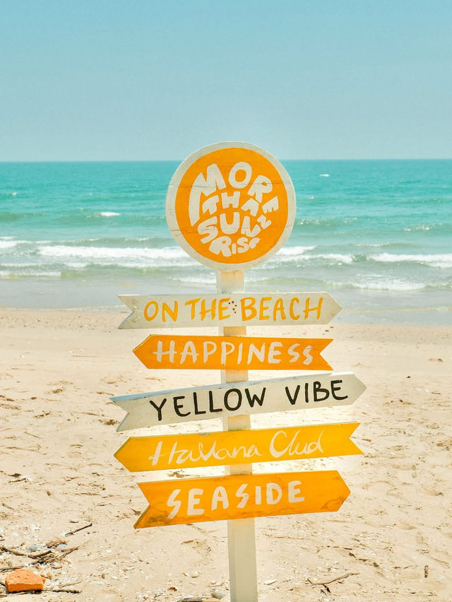 More Than Beach & Cafe 🦆🏝️