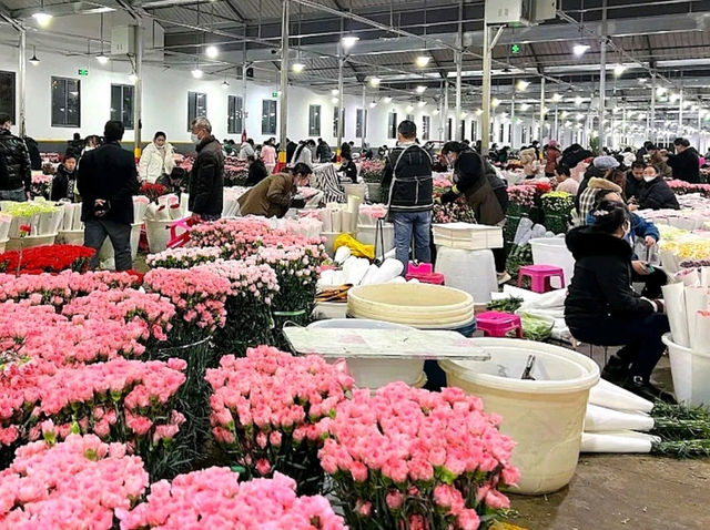 Blossom Wonderland of Dounan