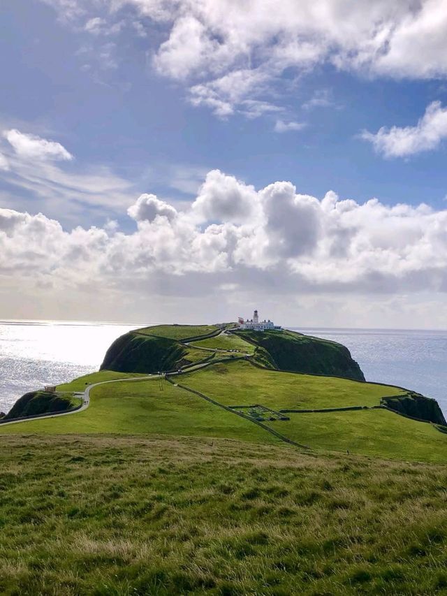 Clifftop Views and Puffin Spotting at Sumburgh Head