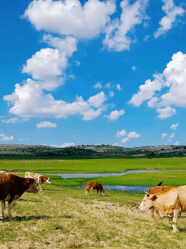 Huitengxile: The Grassland Above the Clouds Huitengxile: The Grassland Above the Clouds
