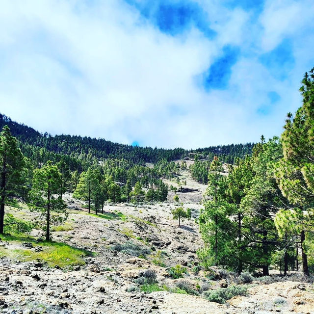 Experience Stunning Views at La Ventana del Nublo 