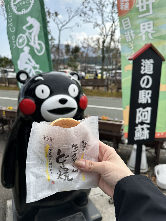 熊本 阿蘇🐴 熊本 阿蘇🐴