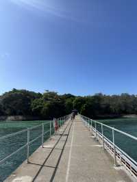 ケアンズ🇦🇺 グリーン島🏝️