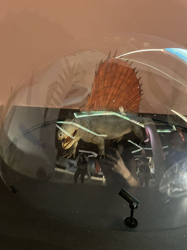 🇭🇰 Palaentology Gallery in Hong Kong Science Museum  🇭🇰 Palaentology Gallery in Hong Kong Science Museum