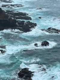 【莫寧頓半島｜海岸與葡萄酒交織的靜謐之旅】