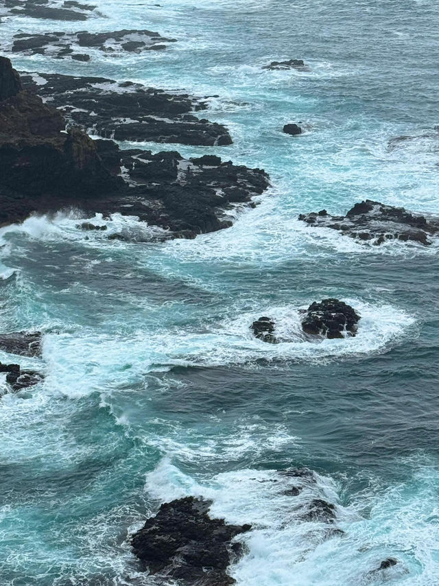 【莫寧頓半島｜海岸與葡萄酒交織的靜謐之旅】