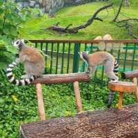 China-Qingyuan 中國-清遠 3 Days 2 Nights (3D2N)