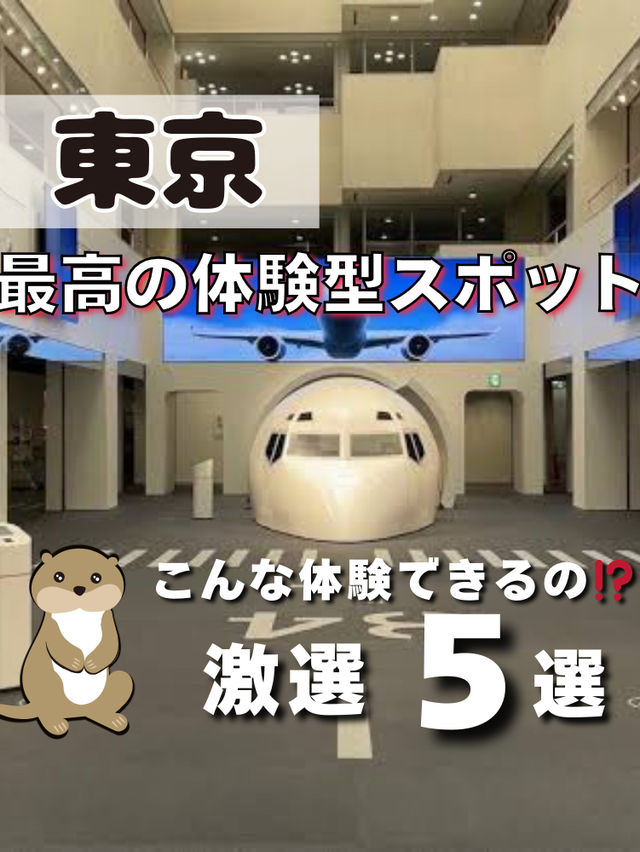 【東京】最高の体験型スポット5選📸✈️