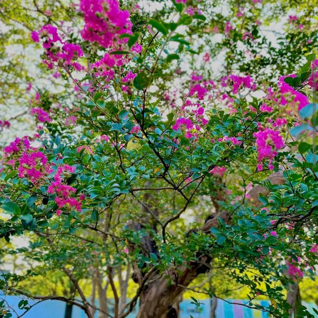 Yoyogi Park