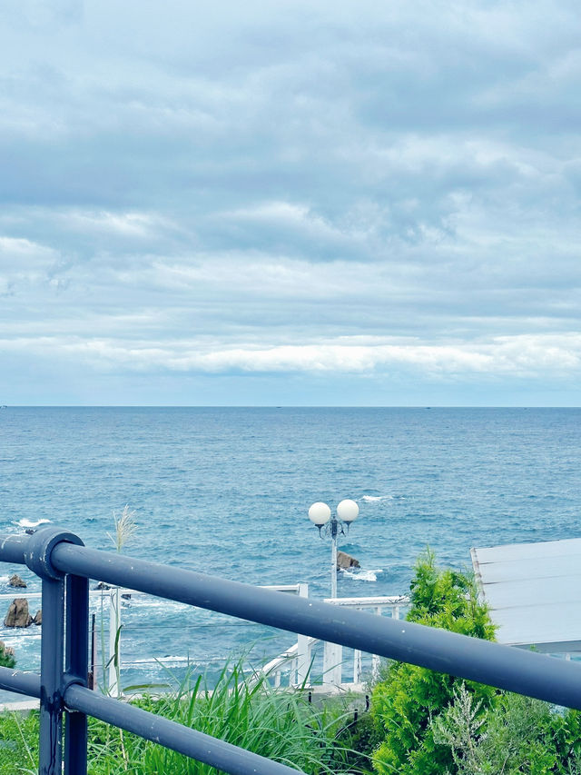 🌊 경주 바다 & 숲속 힐링 여행, 오류고아라해변 + 정글미디어파크 🏖️🌿
