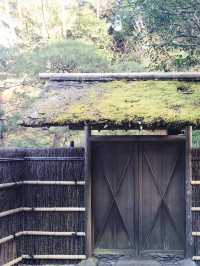 🌸雪解け間近の北鎌倉で、東慶寺の春を呼ぶ梅巡り ＆ まろやか甘酒でほっこり
