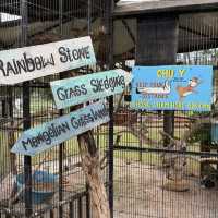 Exploring Mongo Land ĐlDa Lat – Fun, Photos, and a Touch of Mongolia