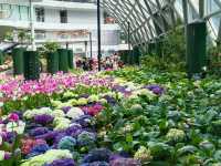 สวนดอกไม้เมืองหนาว นิทรรศน์พรรณพฤกษา จ.ระยอง
