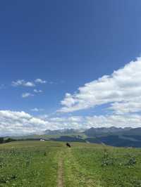 【新疆ウイグル自治区】北疆の旅- 喀拉峻(カラジュン)