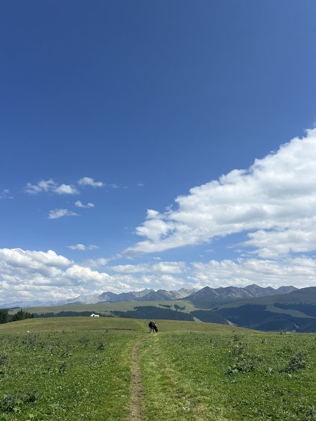 【新疆ウイグル自治区】北疆の旅- 喀拉峻(カラジュン) 【新疆ウイグル自治区】北疆の旅- 喀拉峻(カラジュン)