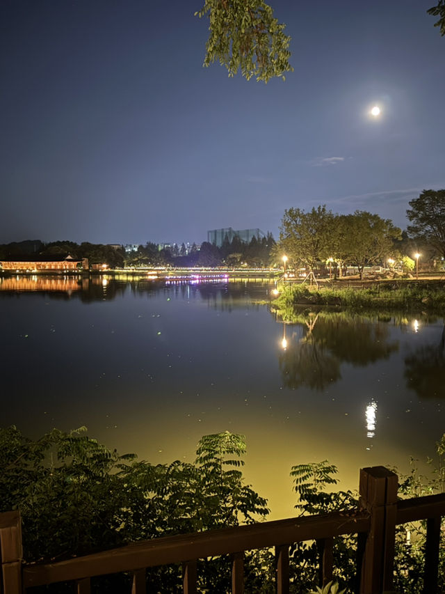 전주대 옆, 야경이 아름다운 호수 [전주 덕진공원] ✨