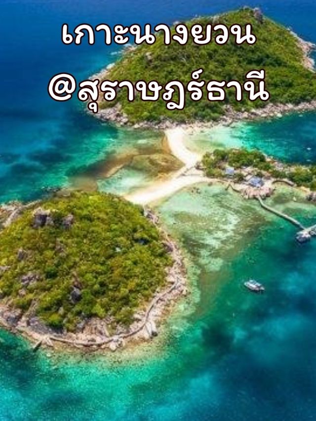 เกาะนางยวน @ สุราษฎร์ธานี เกาะนางยวน @ สุราษฎร์ธานี