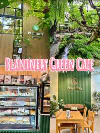 คาเฟ่สีเขียว เติมพลังธรรมชาติ 🌿☕✨