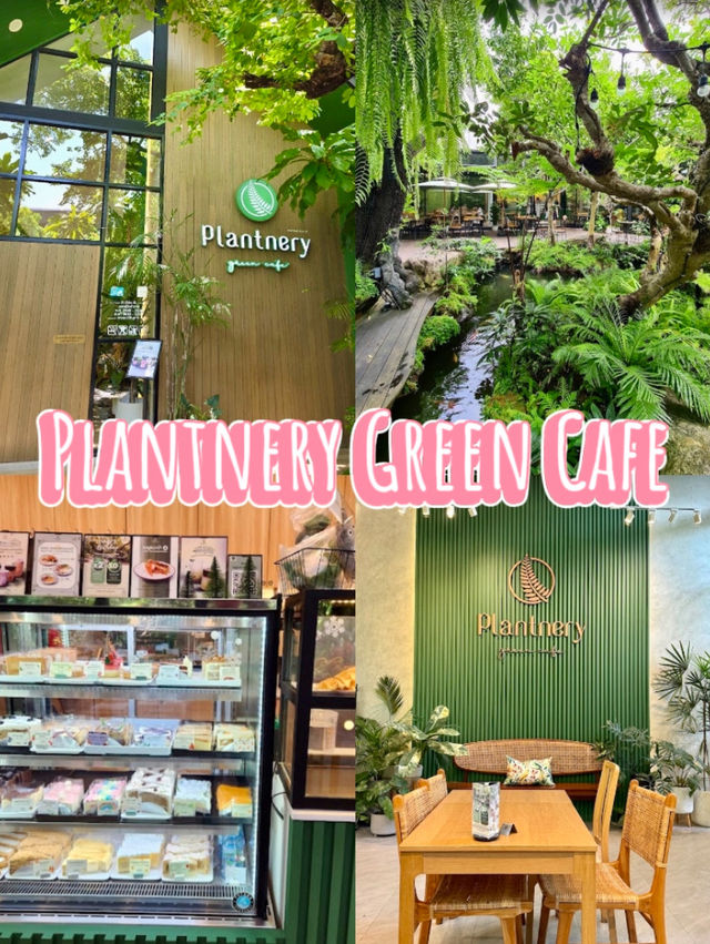 คาเฟ่สีเขียว เติมพลังธรรมชาติ 🌿☕✨