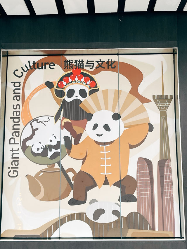Thành Đô - Công viên gấu trúc 熊猫基地