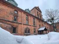Snow, Soup, and Solo Adventures: My Escape to Sapporo