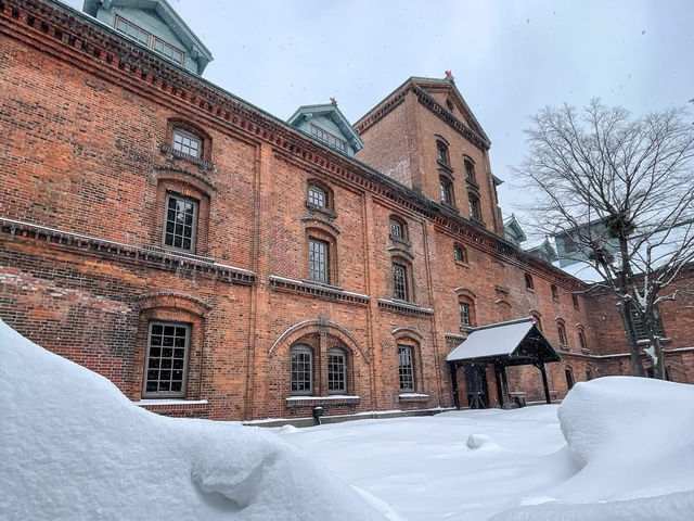 Snow, Soup, and Solo Adventures: My Escape to Sapporo