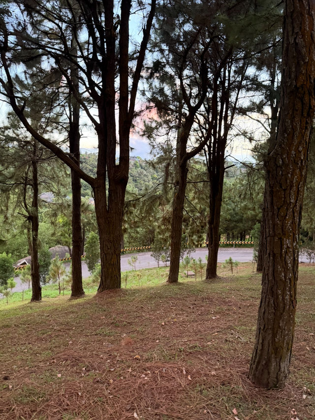 Tagaytay always has that fresh, breezy vibe 🌿⛰️