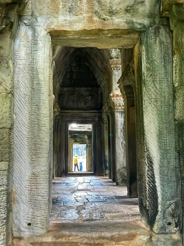 Angkor Archaeological Park – A Journey Through Time 🌿