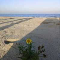 IJsselmeer