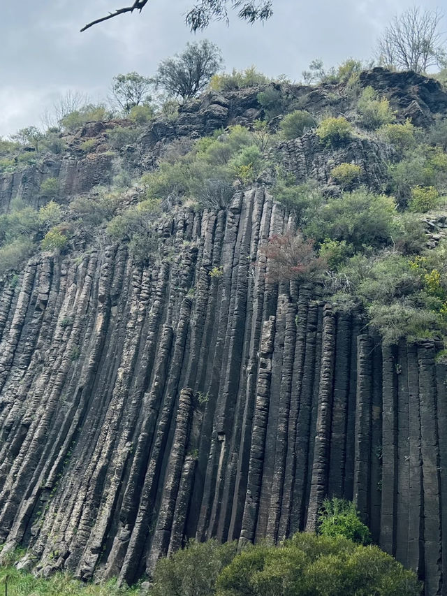 Organ Pipes National Park: Australia’s Basalt Wonder