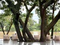 รีวิว Riva Vista Riverfront Chiang Rai 💚