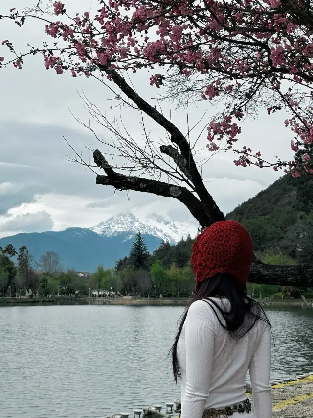 BEST LIJIANG'S SUNSET SPOT 🌄