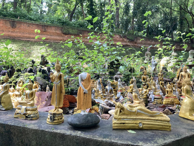 เที่ยว “วัดอุโมงค์” ฟิลฤดูฝน เขียวชื่นใจ  เที่ยว “วัดอุโมงค์” ฟิลฤดูฝน เขียวชื่นใจ