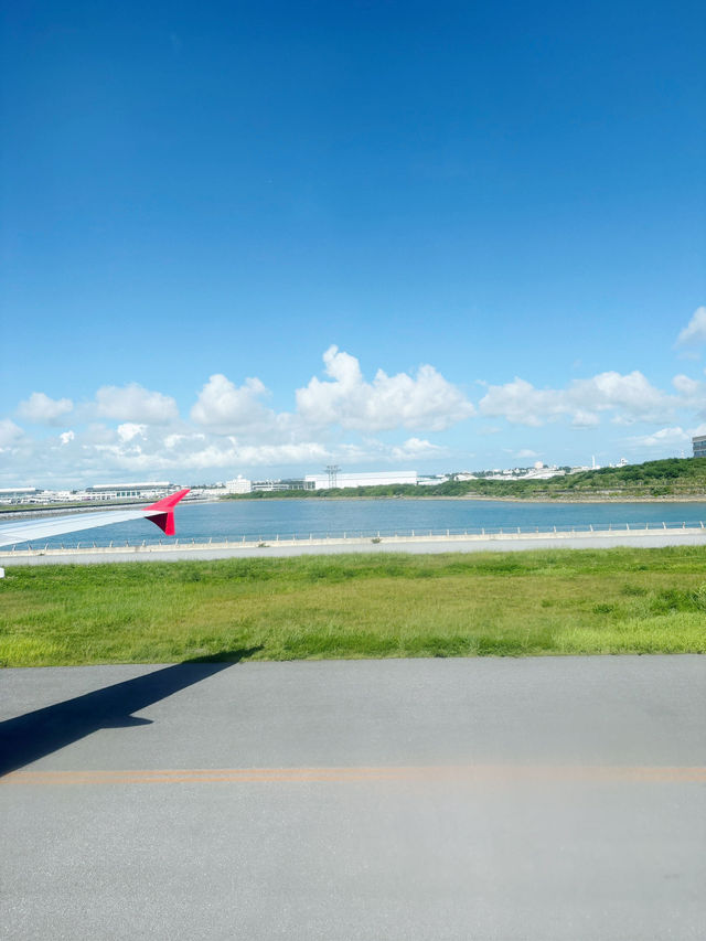 🌺 7天沖繩之旅總結：美食、靈性與自駕的完美冒險！✨
