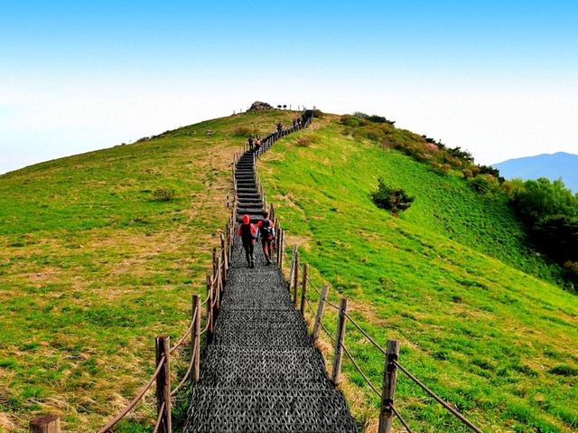 소백산 – 철쭉의 천국