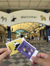 🇯🇵 Shirahama Adventure World Zoo Day🦒