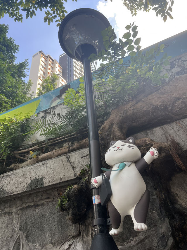 和貓貓一起漫遊荷李活道