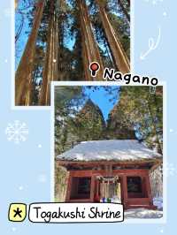 Togakushi Shrine at Nagano 🌲⛩️🏔️
