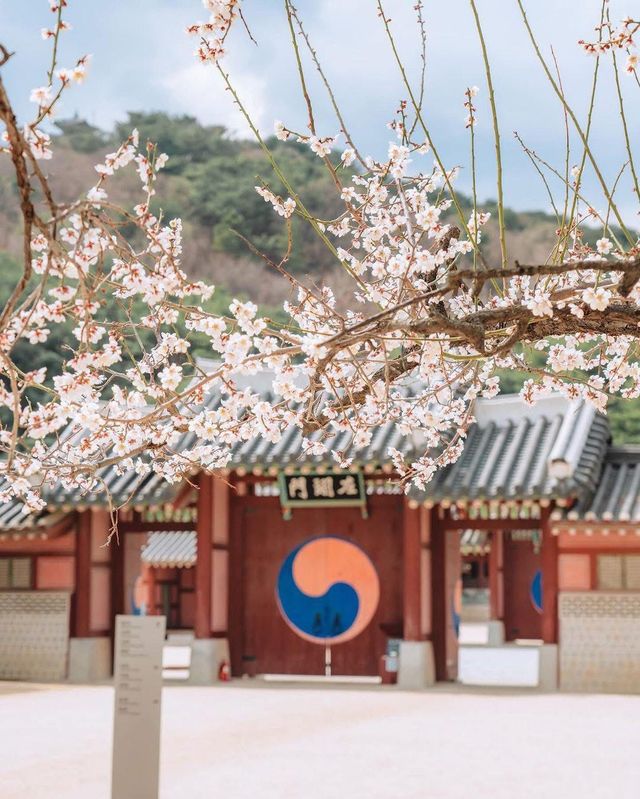 Seoul Outskirts Day Trip – History, Culture, and a Touch of Modernity ✨
