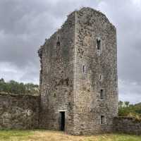 Ballybeg Priory – Medieval Augustinian Splendor in Ruin