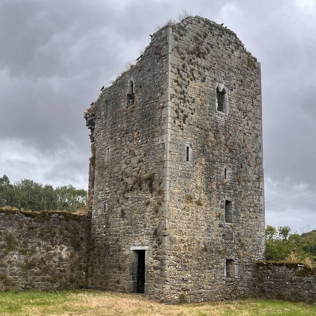 Ballybeg Priory – Medieval Augustinian Splendor in Ruin