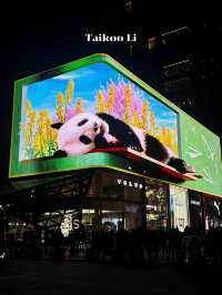 พิกัดที่เที่ยว ที่กิน ที่พัก เฉิงตู 🇨🇳