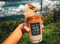 【愛媛】標高1,400mで味わう、天空のコーヒー☕✨
