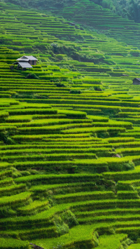 โบสถ์ซาปา(Sapa Stone Church) โบสถ์หินเก่าแก่