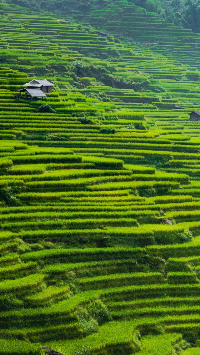 โบสถ์ซาปา(Sapa Stone Church) โบสถ์หินเก่าแก่