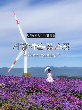 September, a great flower spot in Geochang to visit along with Gamaksan Mountain🪻