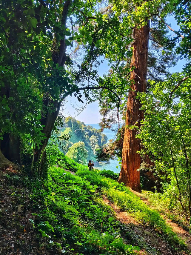 🌿 Batumi Botanical Garden – A Green Paradise by the Black Sea